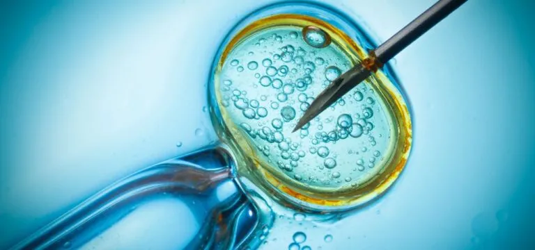 Mini IVF